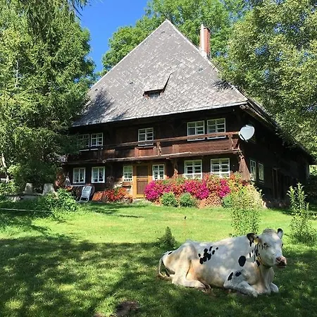 Vakantiehuis Romantisches Schwarzwaelder Bauernhaeuschen Huesli Am Griesbachhof *