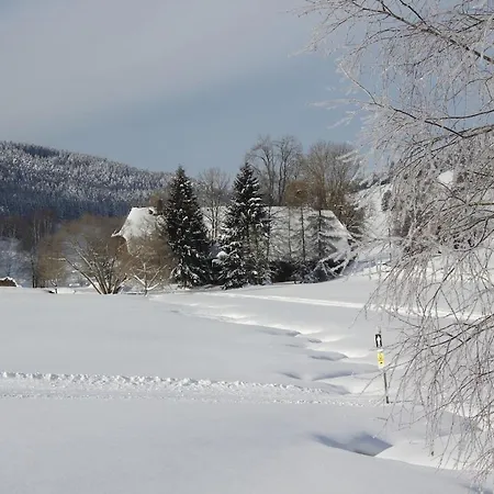 Holiday home Romantisches Schwarzwaelder Bauernhaeuschen Huesli Am Griesbachhof Titisee-Neustadt