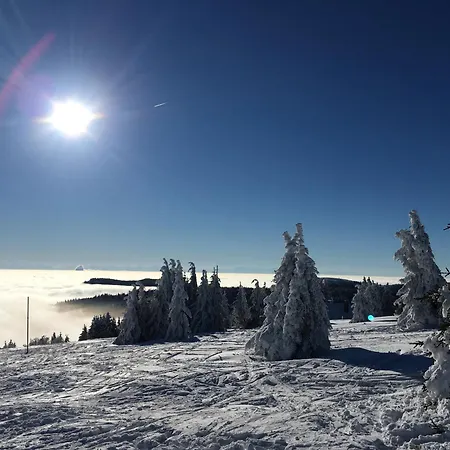 Prázdninový dům Romantisches Schwarzwaelder Bauernhaeuschen Huesli Am Griesbachhof Titisee-Neustadt